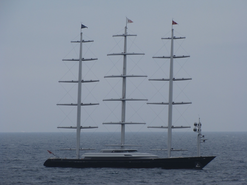 MALTESE FALCON