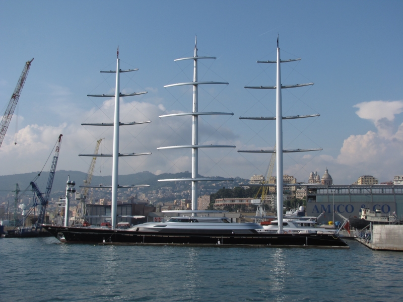 MALTESE FALCON