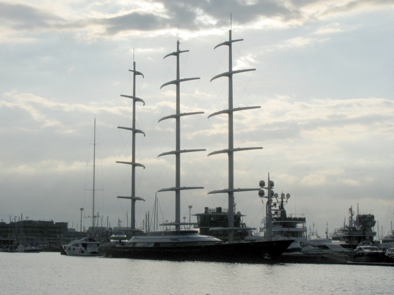 MALTESE FALCON