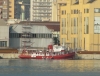 LIBERTY TUG