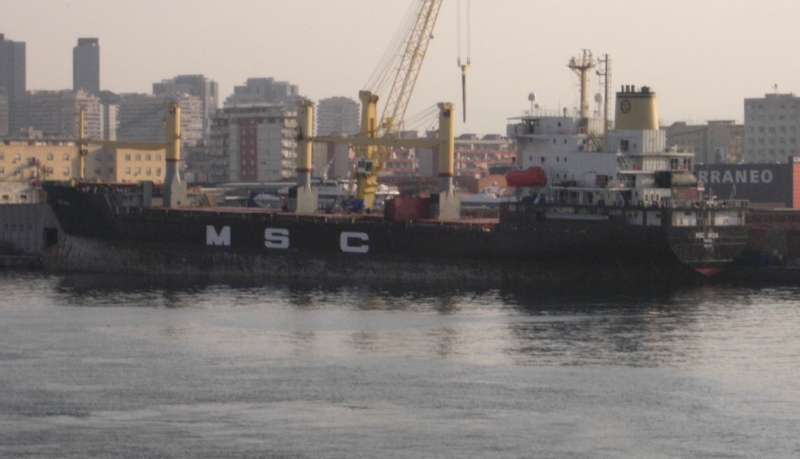 MSC INDIA