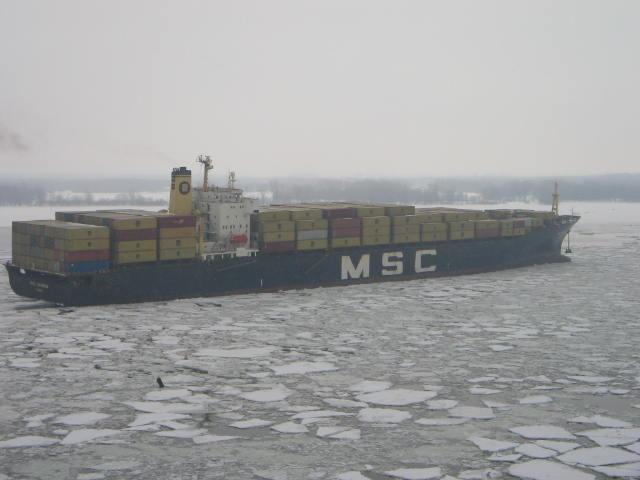 msc Sabrina