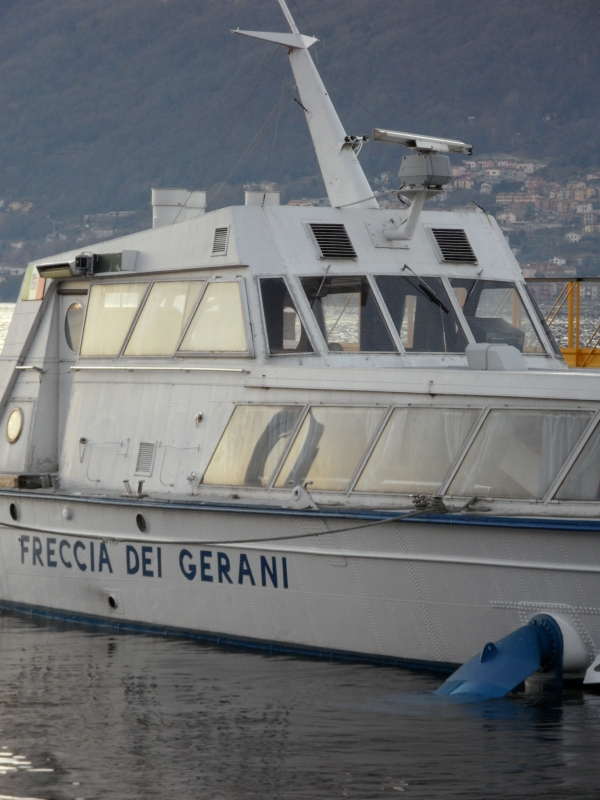 Freccia dei Gerani