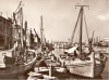 Porto di Chioggia