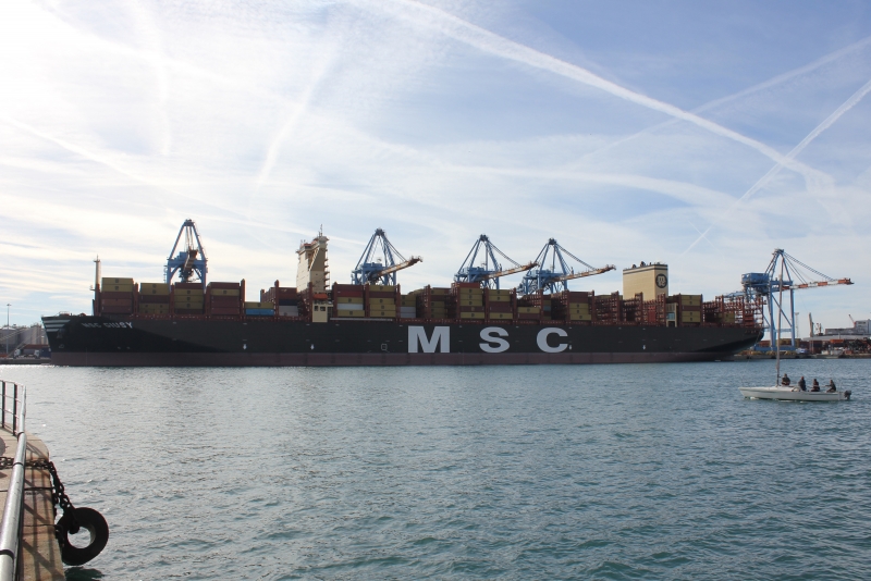 MSC Giusy