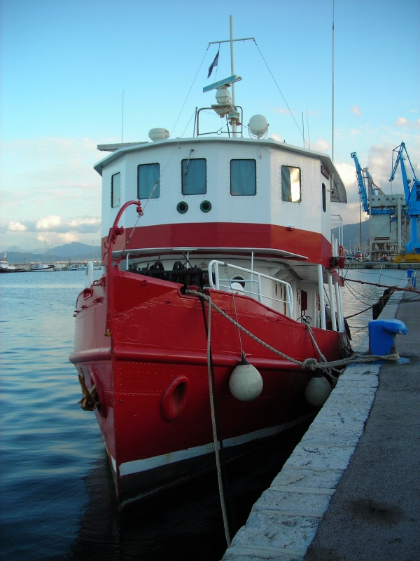 Liberty Tug