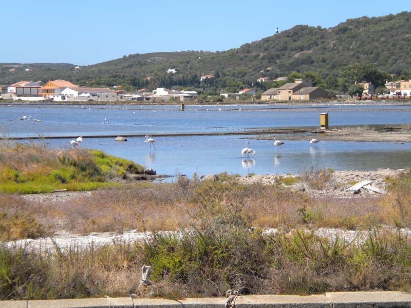 Saline di Carloforte