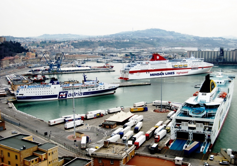 Cruise Europa - Riviera del Conero - Olympic Champion