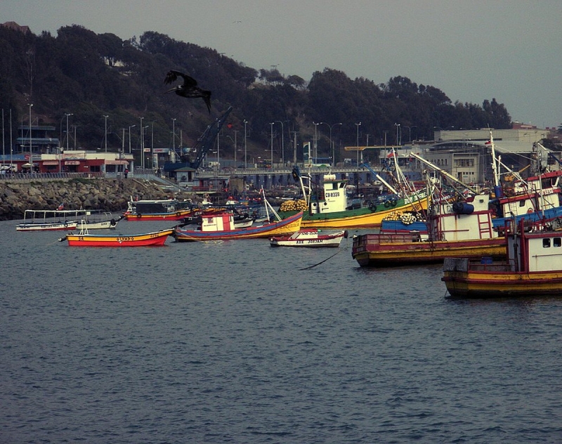 Port of San Antonio, Chile.