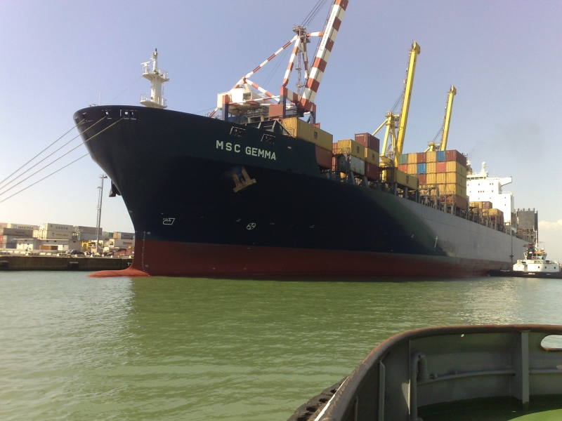 MSC GEMMA