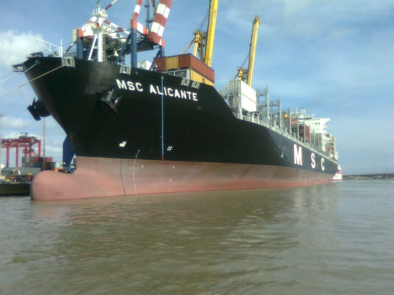 MSC ALICANTE