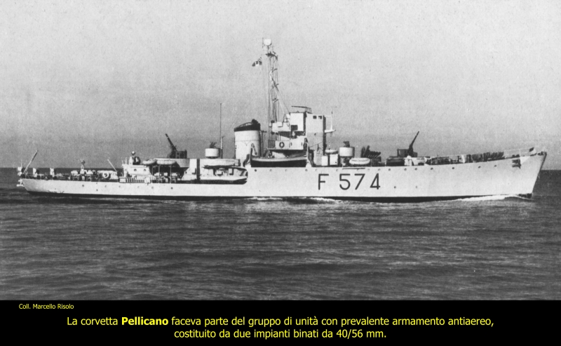 Pellicano F 574