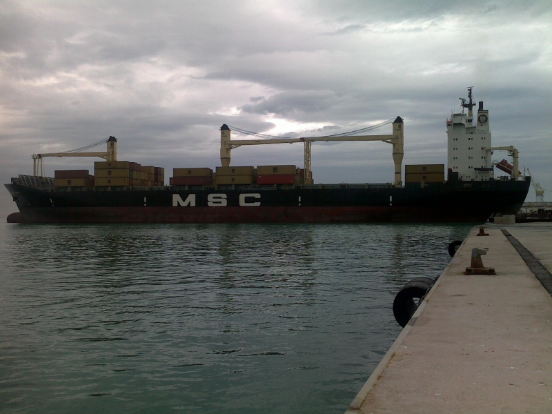 msc adele