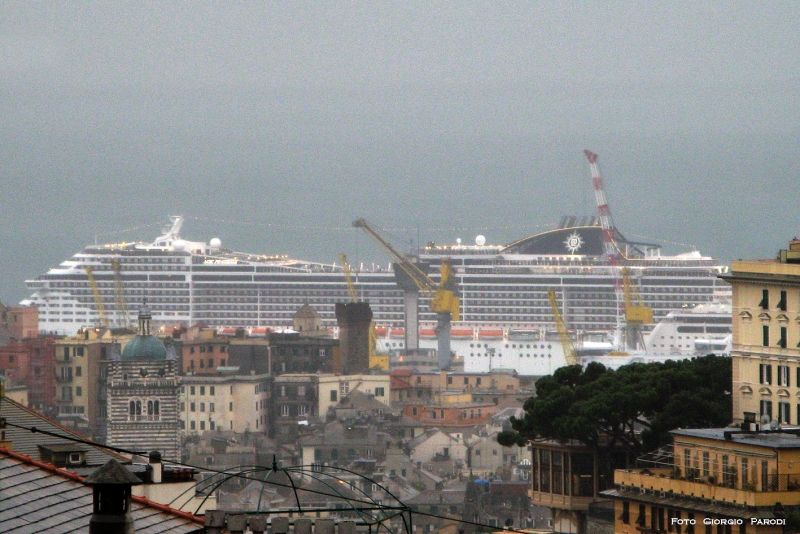 MSC PREZIOSA