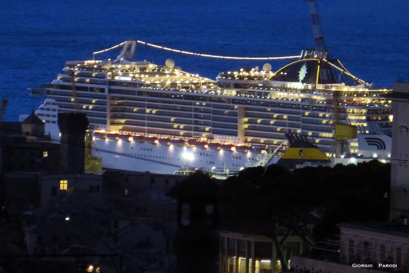 MSC SPLENDIDA