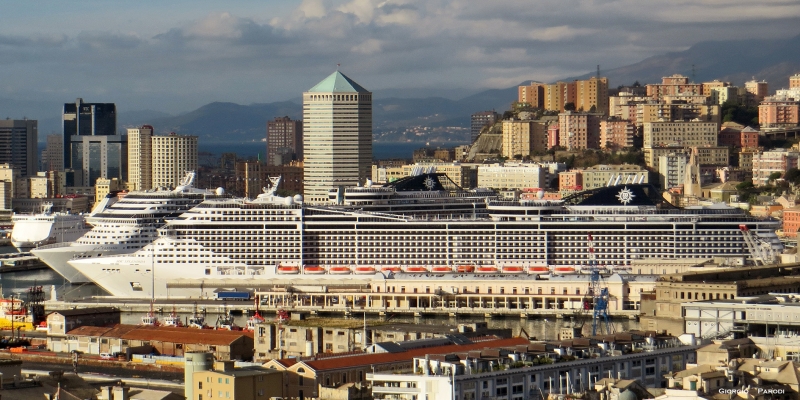 MSC SPLENDIDA  e  MSC FANTASIA