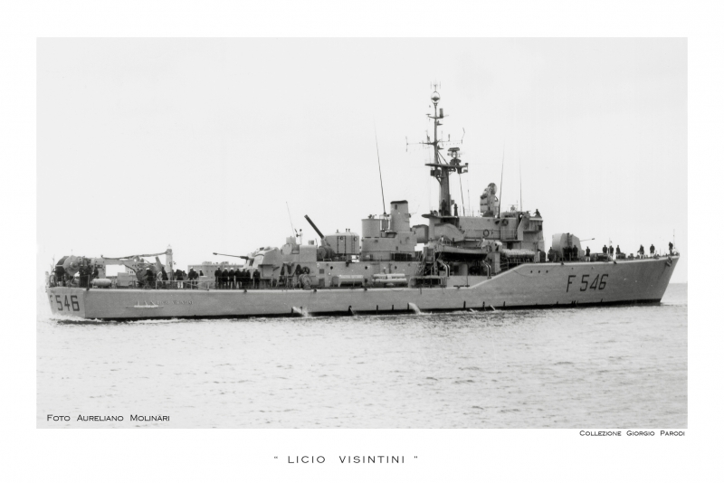 LICIO  VISINTINI F 546