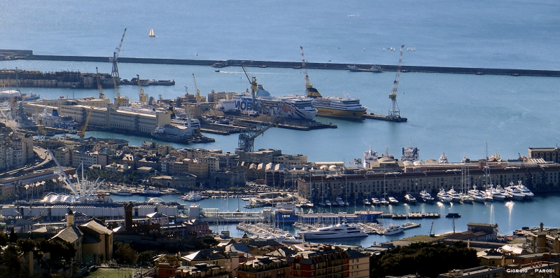 PORTO DI GENOVA