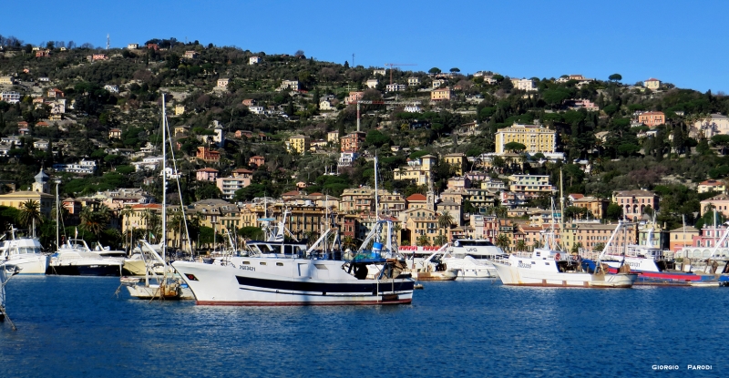 PORTO DI SANTA MARGHERITA LIGURE