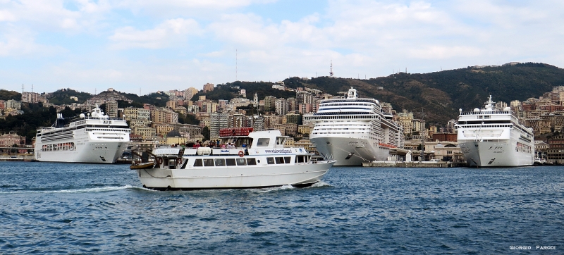 MSC OPERA , MSC PREZIOSA  e  MSC ARMONIA