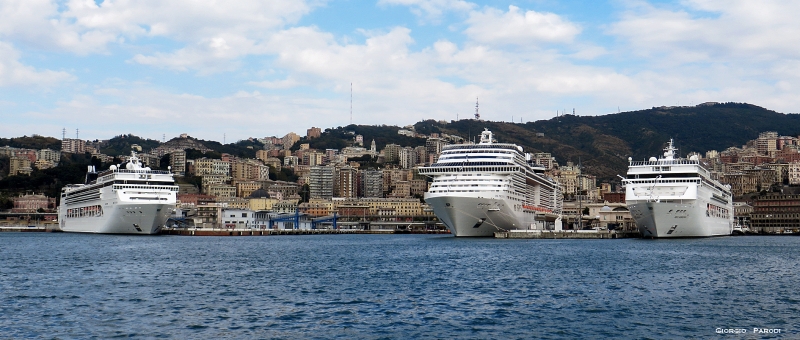 MSC OPERA , MSC PREZIOSA  e  MSC ARMONIA