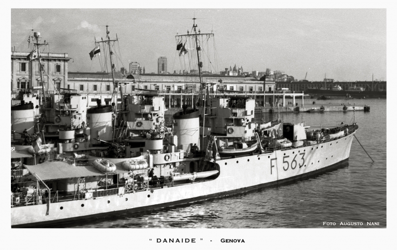 DANAIDE F 563