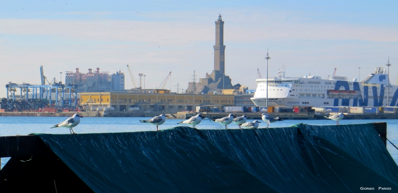 PORTO DI GENOVA