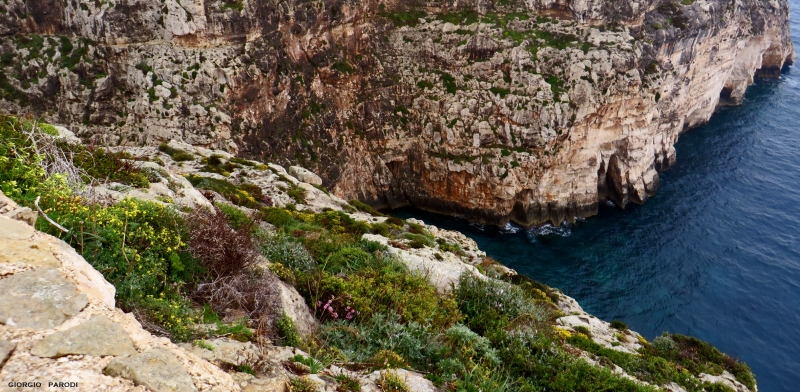 ZURRIEQ