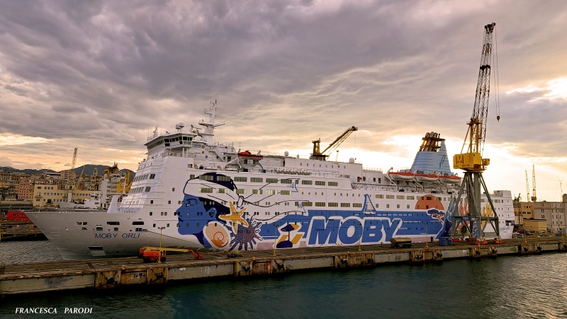 MOBY  ORLI