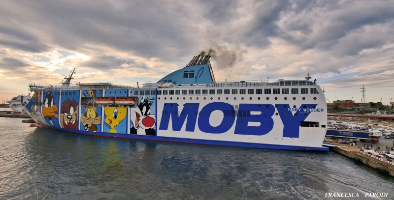 MOBY  WONDER