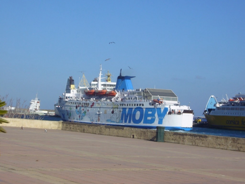 Moby Lally