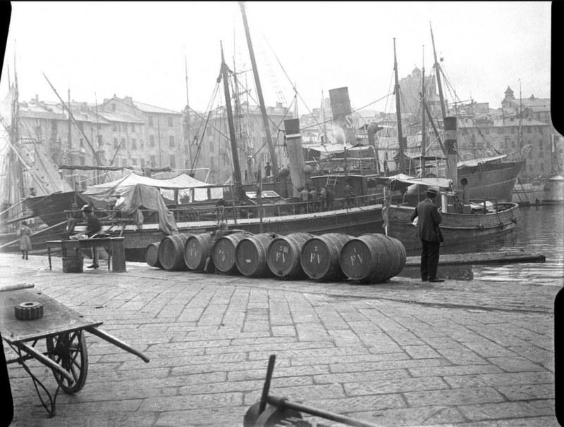 Savona Darsena Vecchia