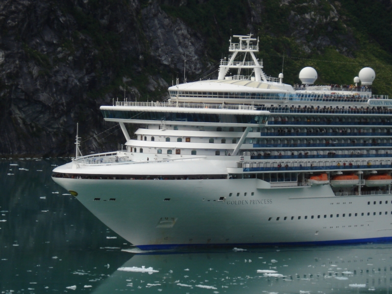 Golden Princess in Tracy Arm